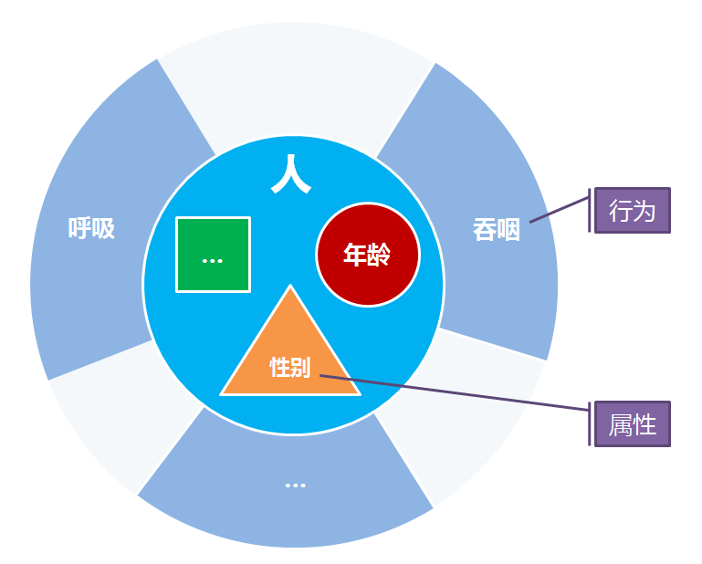 对象的两大特征